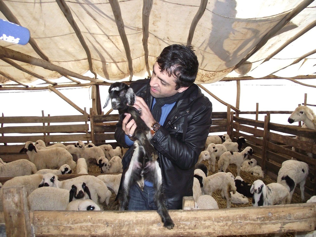 Damızlık Koyun Keçi Yetiştiricileri Birliği Sinan Köyünde
