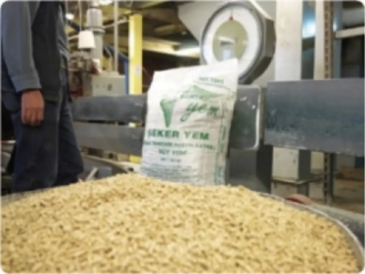 İmalatçı-İhracatçıların C Şekeri Taleplerini 7 Şirket Karşılayacak