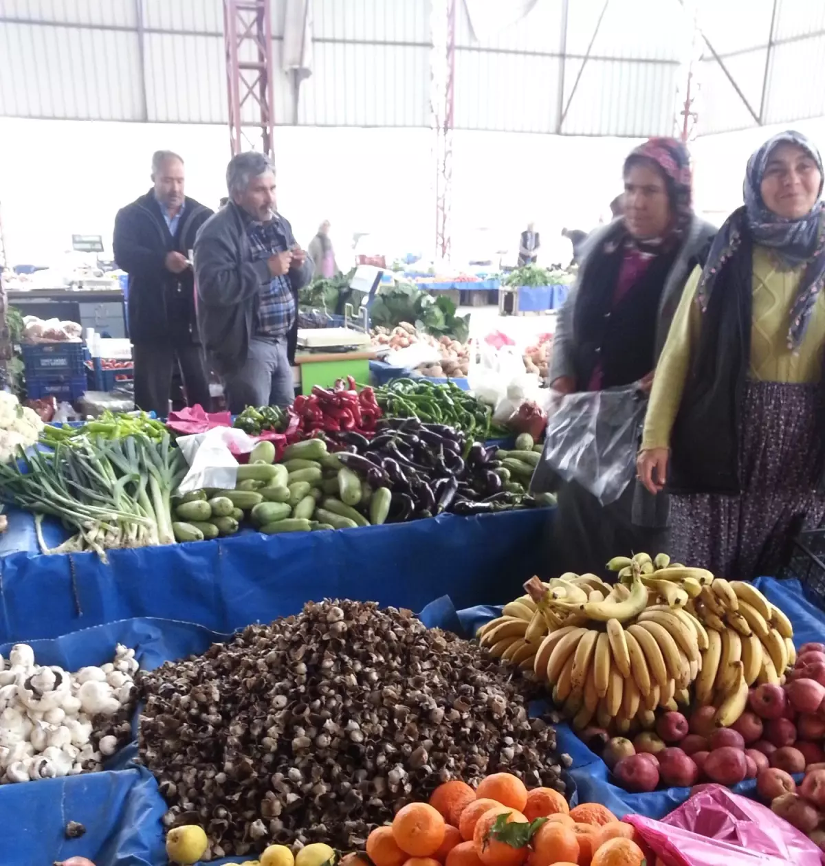 Mut\'ta Çukur Çanak Mantarı Geçim Kaynağı Oldu