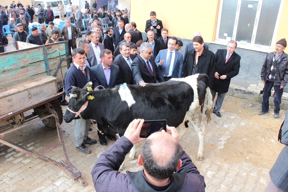 Derbent\'te Köylülere Hayvancılık Desteği