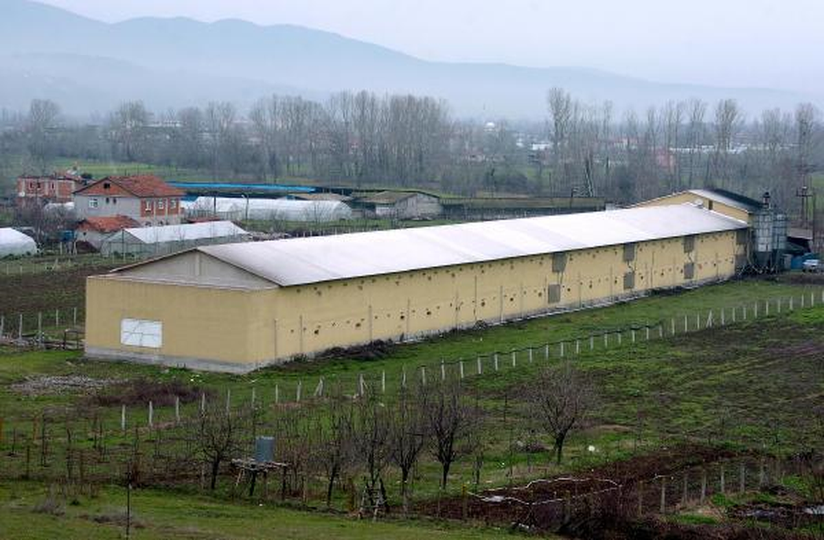 İçme Suyunda Hayvan Atığı Tehdidi