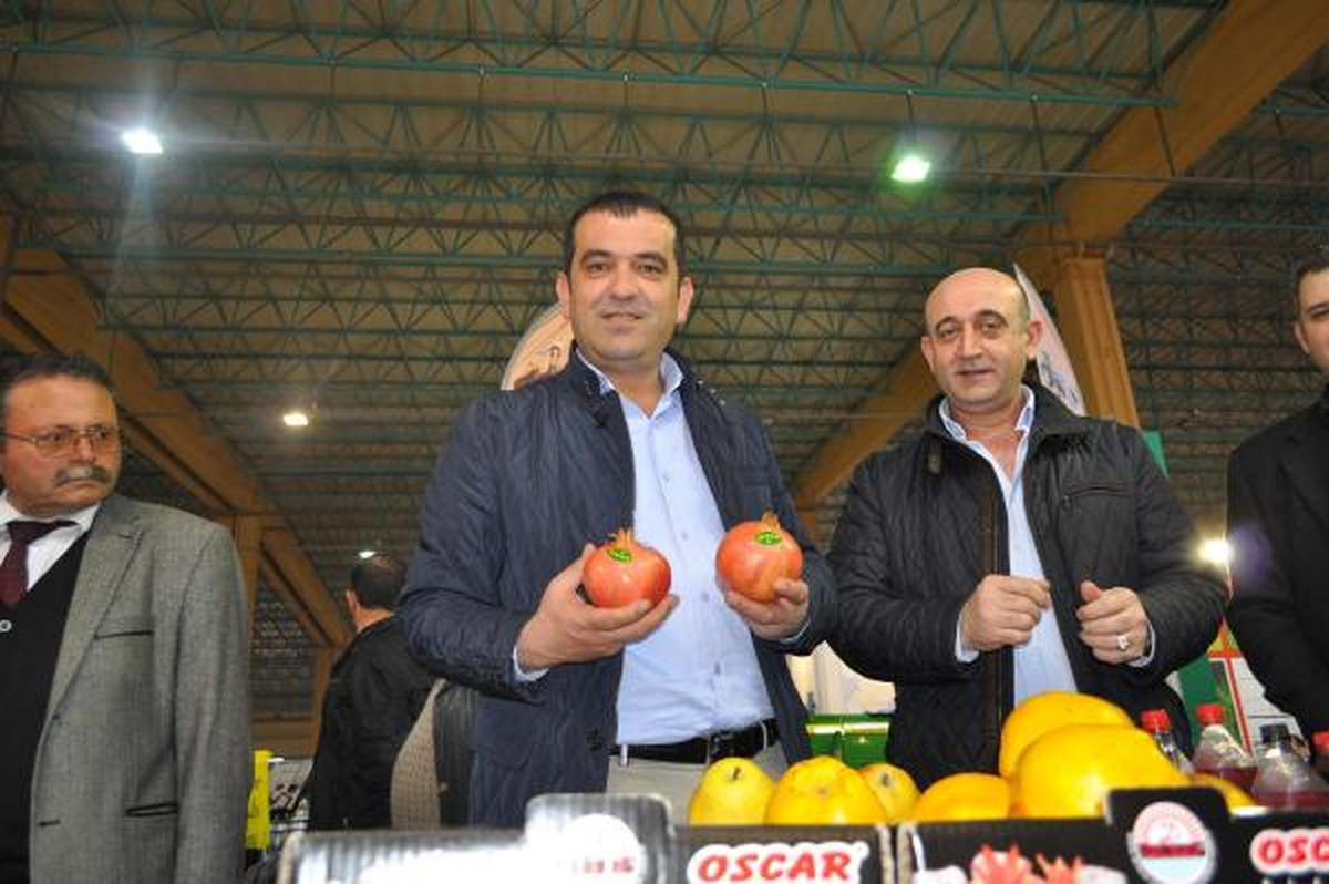Mısır\'a Elma İhracatına Gümrük Vergisi Engeli