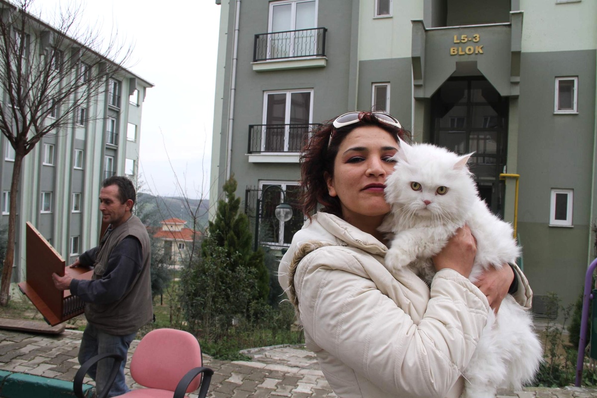 Kedisi İçin Hayatını Değiştirdi