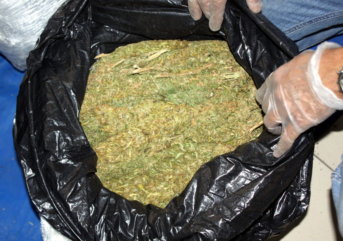 60 Kilogram Esrarla Yakalandı, Serbest Kaldı