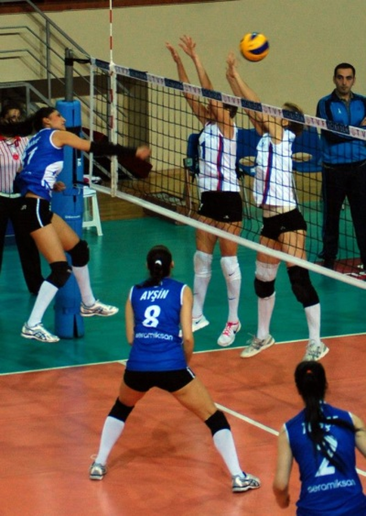 Filenin Kuğuları Dolu Dizgin