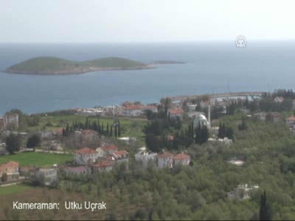 Mevsimin İlk Bademi Toplandı