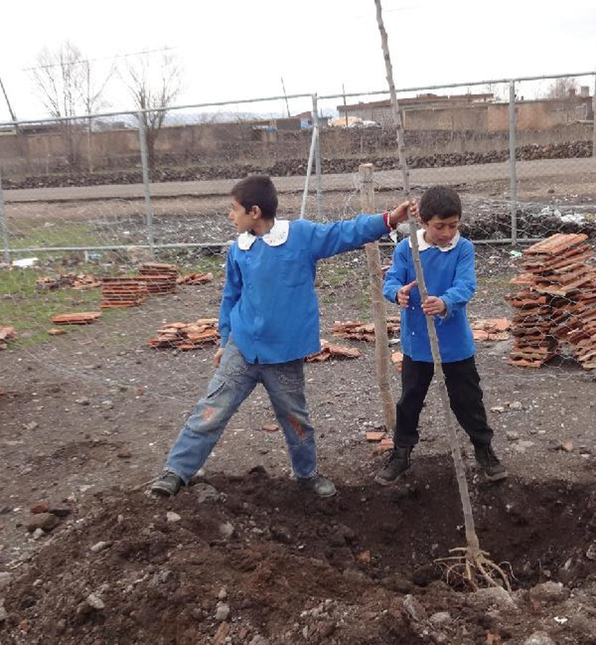 Siverek\'te Öğrenciler Fidan Dikti