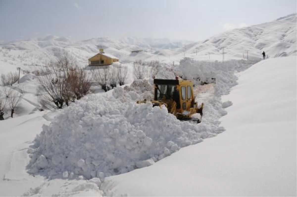 Tunceli\'de Kar Çalışmaları
