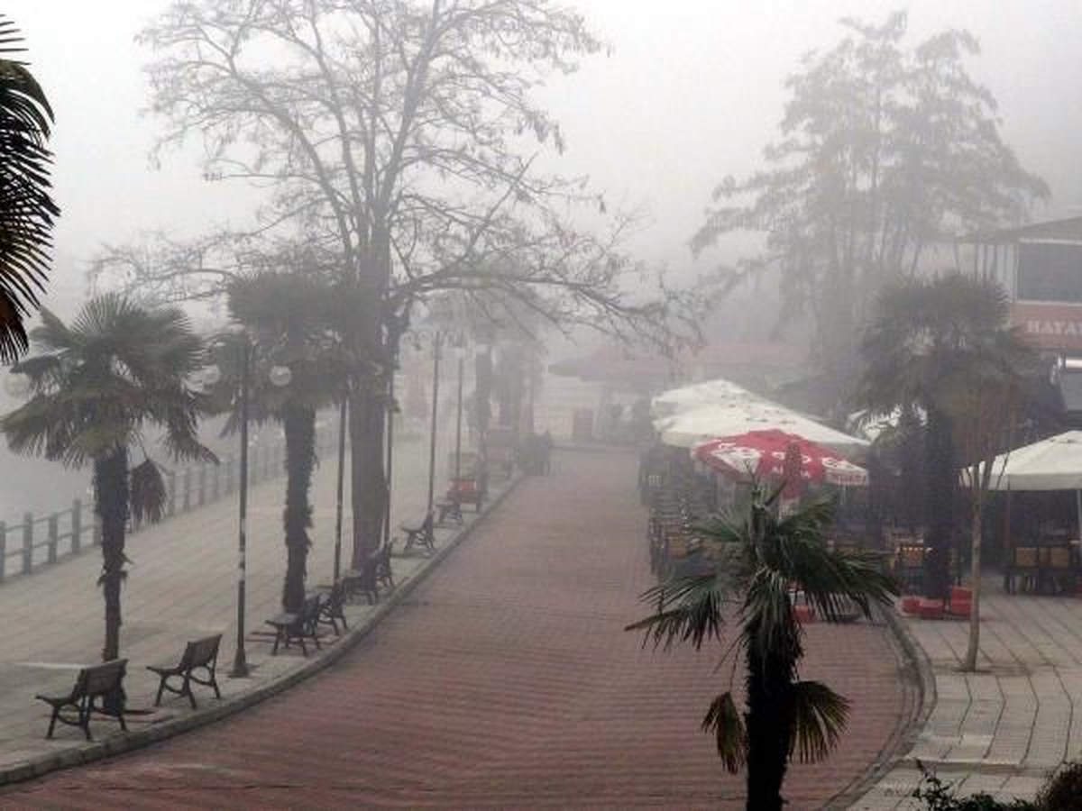 Bursa\'da Sis Etkili Oldu