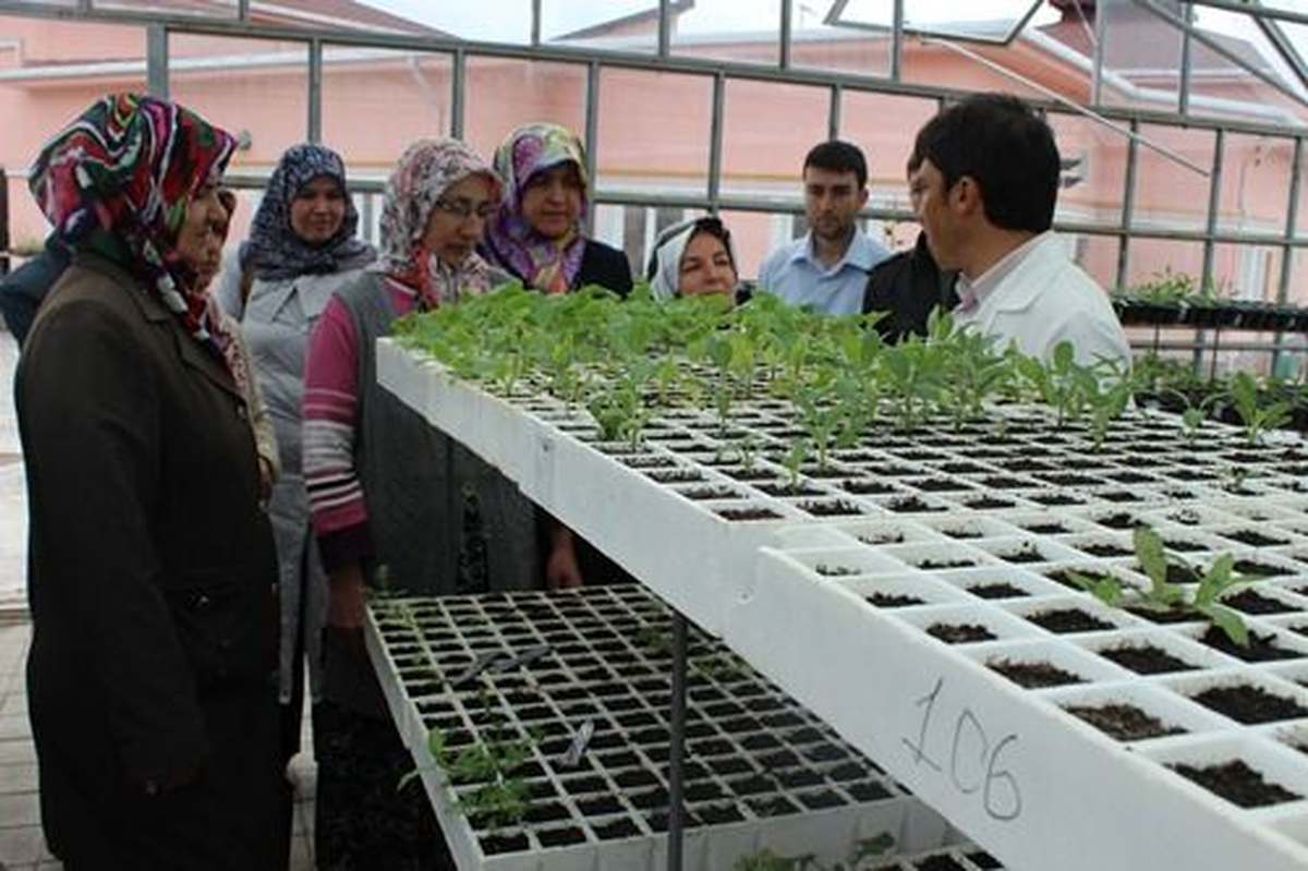 Çarşamba\'da Tıbbi ve Aromatik Bitki Yetiştiriciliği Kursu Başladı