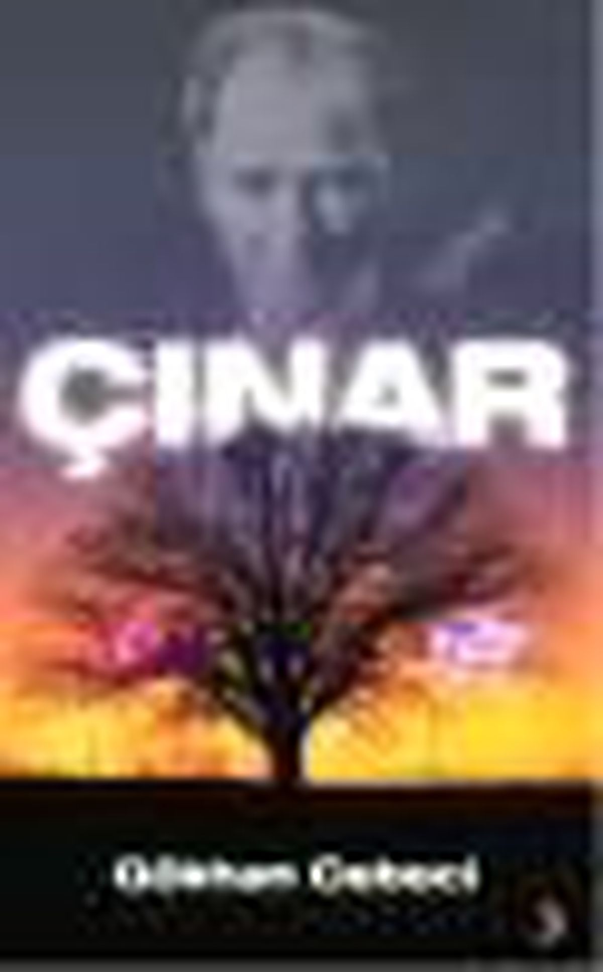 Çınar Kitabı