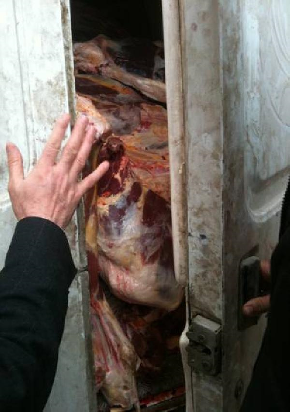 Çorum\'da Kaçak Kesilmiş 2.5 Ton Et Ele Geçti