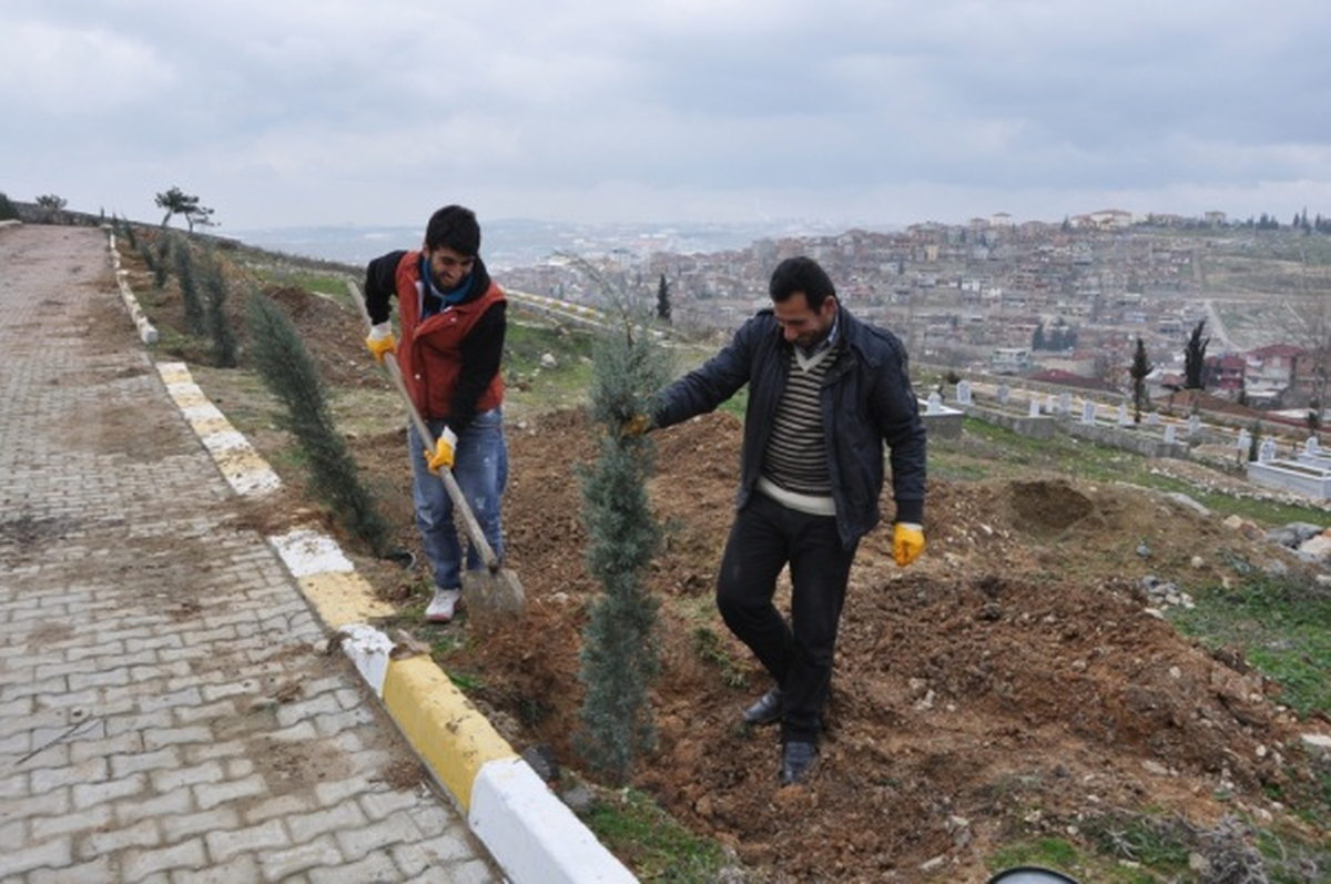 Dilovası Yeşilleniyor