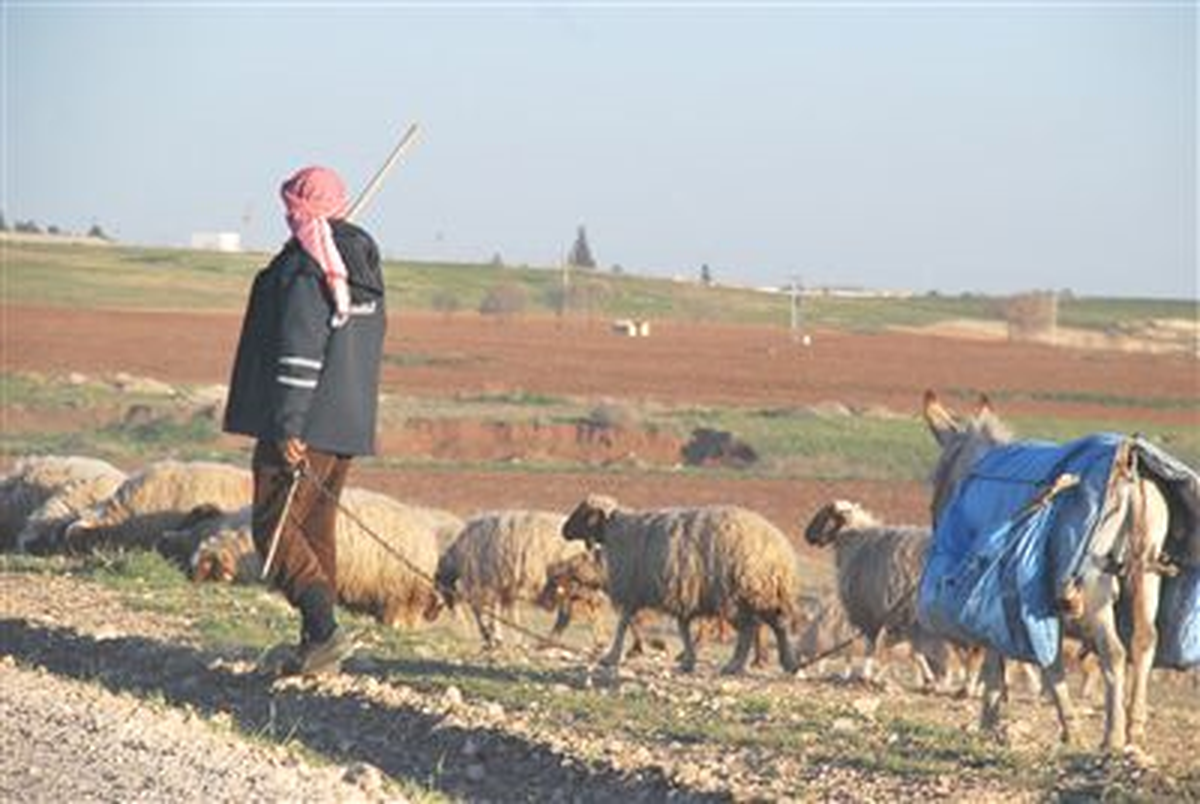 Hakkari\'de Kaybolan 5 Çobanın Yakınlarına 100 Bin Euroluk Tazminat