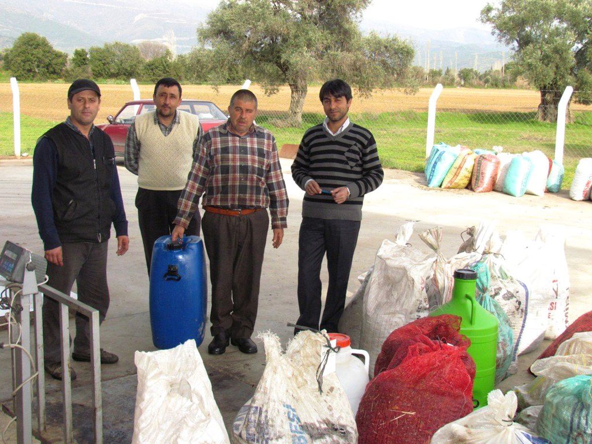 Ödemiş Tariş, Zeytinyağında Hedefini Tutturdu