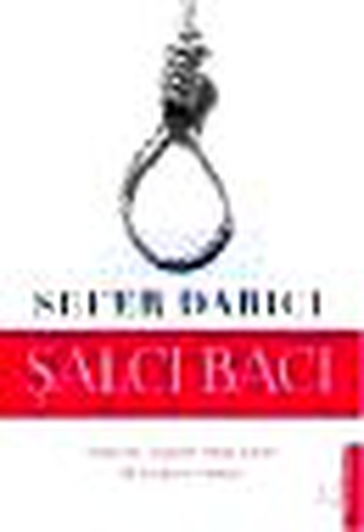 Şalcı Bacı Kitabı