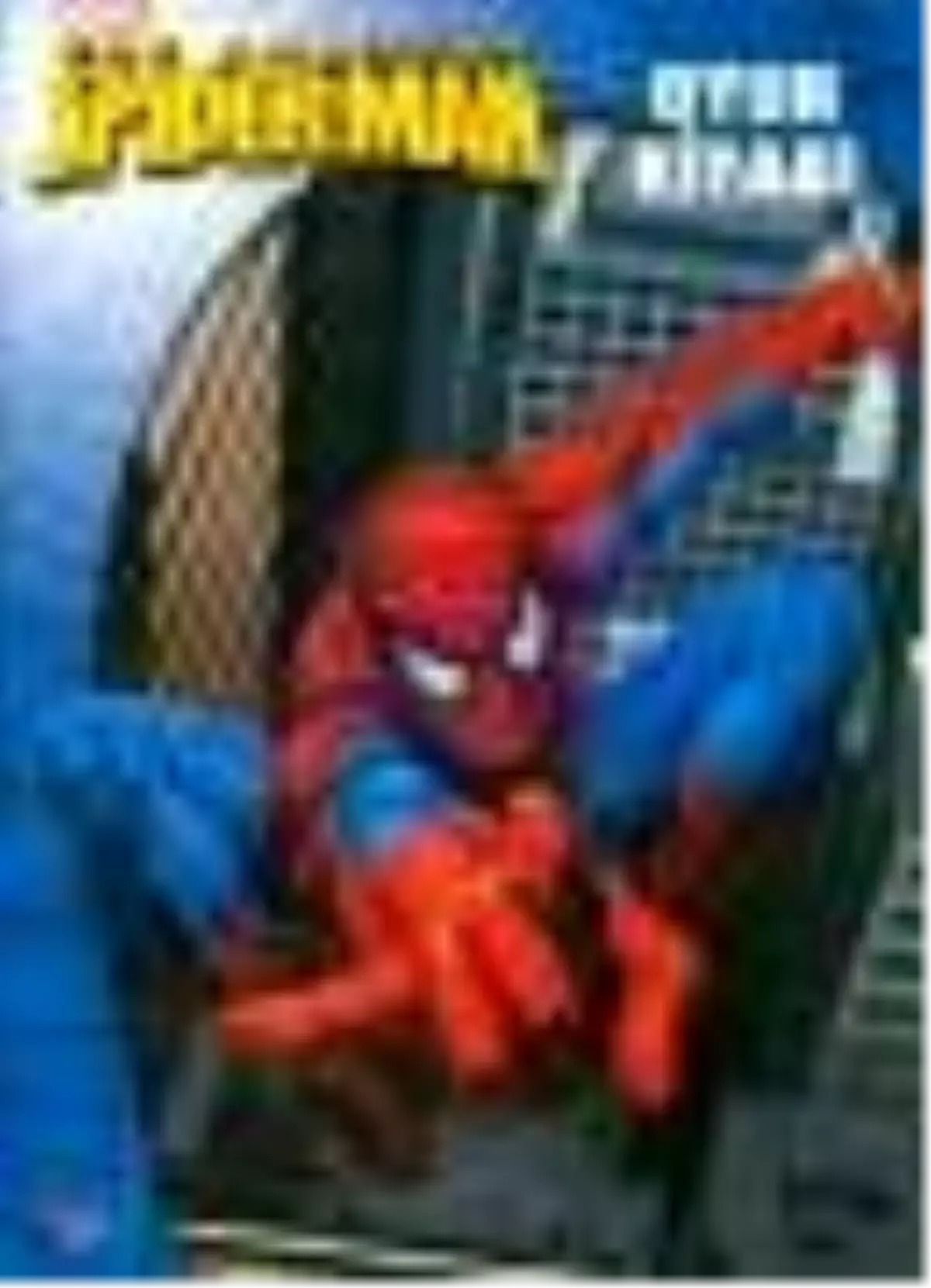 Spiderman Oyun Kitabı Kitabı