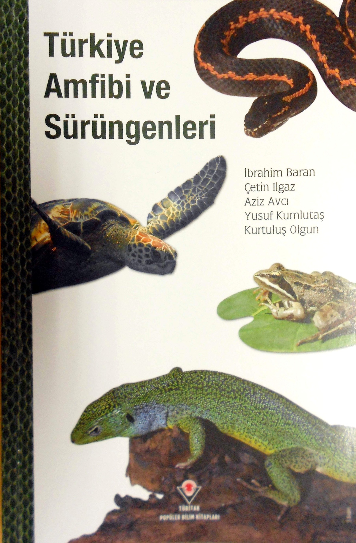 Adü\'nün Amfibi ve Sürüngen Çalışmaları Kitaplaştı