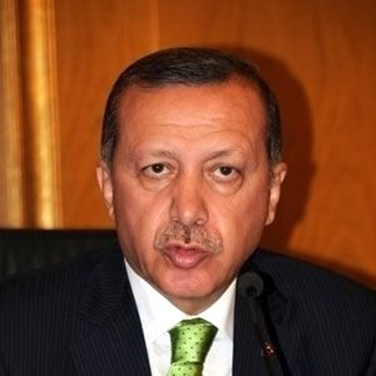 Başbakan Erdoğan, Viyana Ziyareti Öncesi Konuştu
