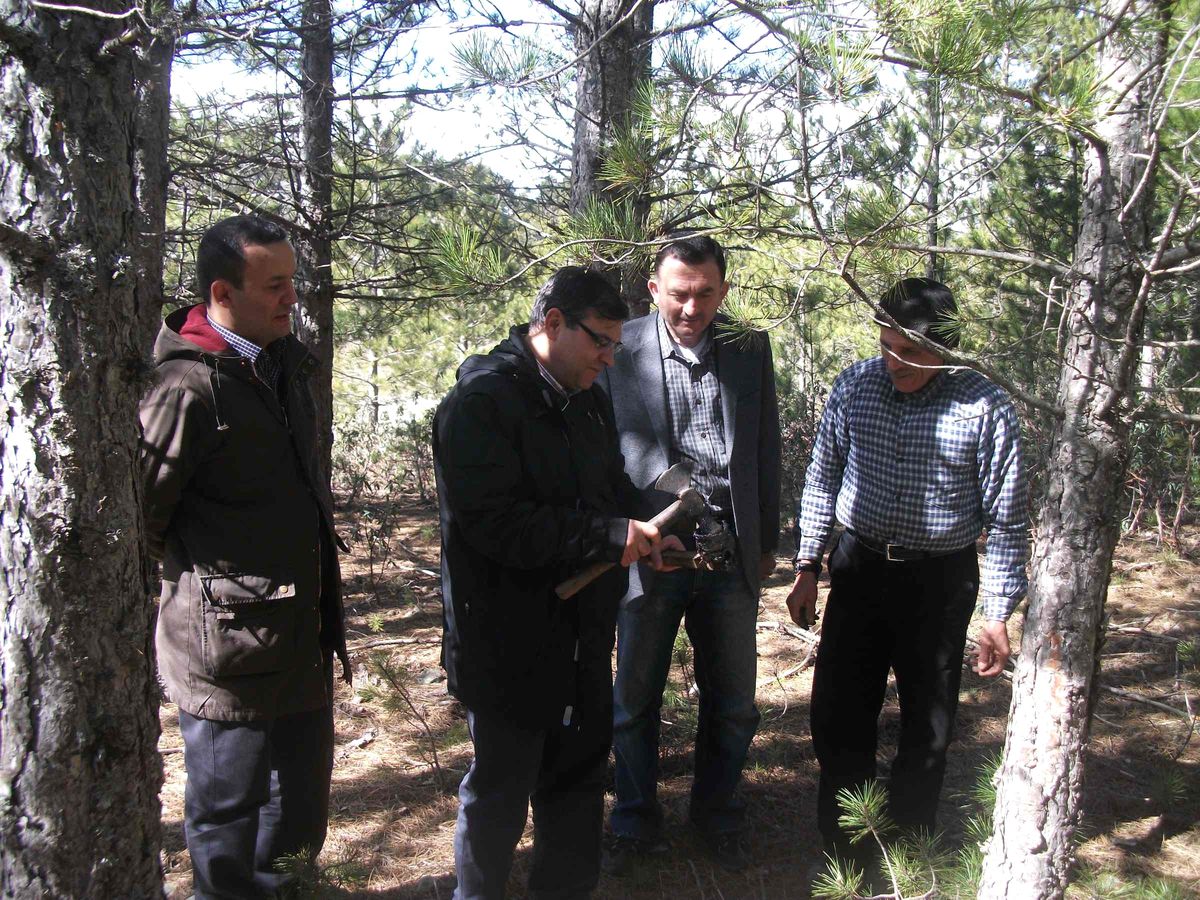 Beyşehir\'de Protokol Ormanda Damga Yaptı