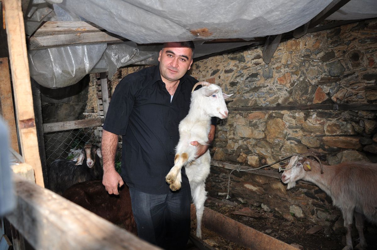Çalınan Keçilerini Dedektif Gibi Buldu