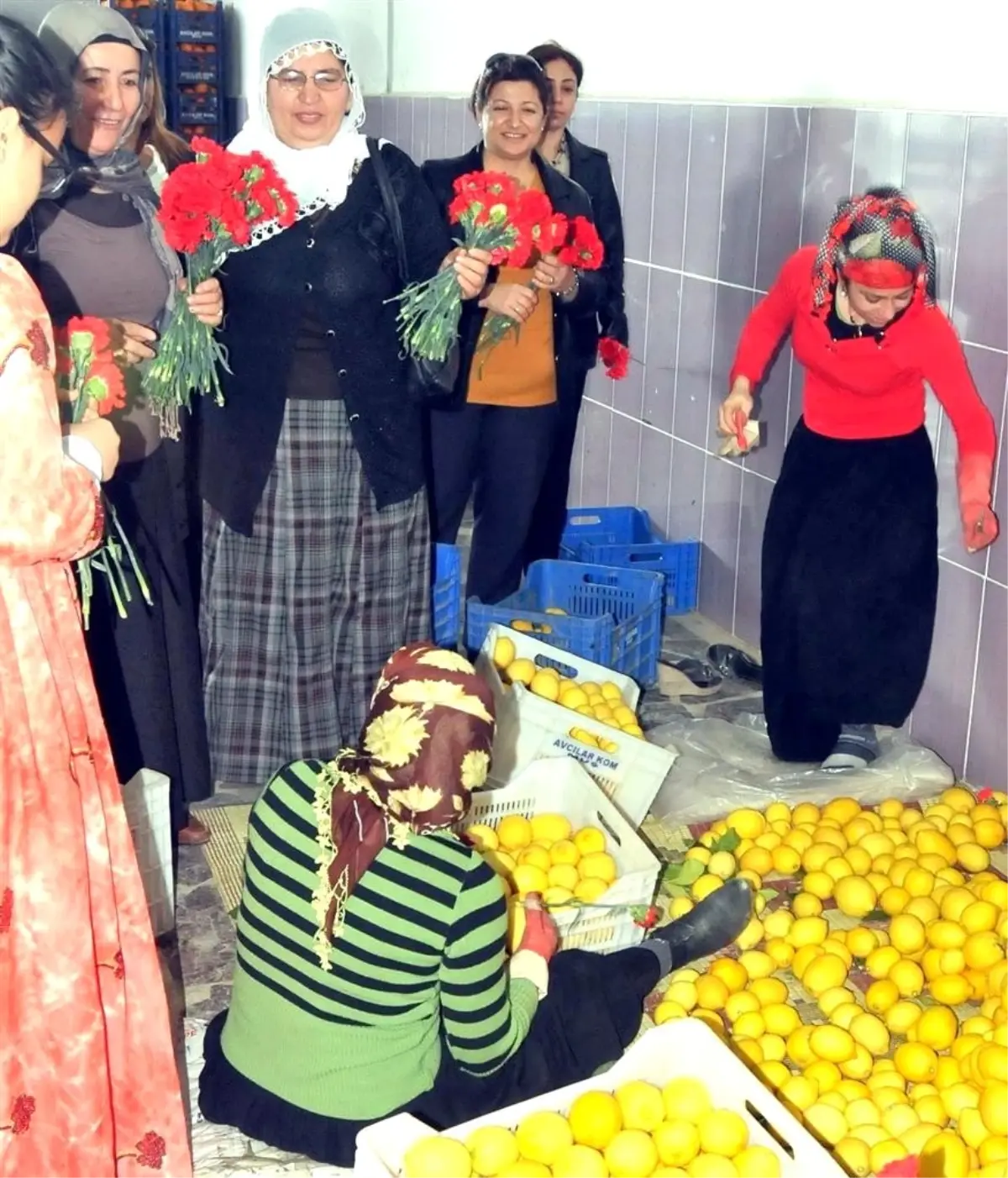 Halde Çalışan Kadınlara Karanfil
