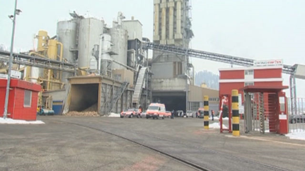 İsviçre\'de Kereste Fabrikasına Silahlı Saldırı