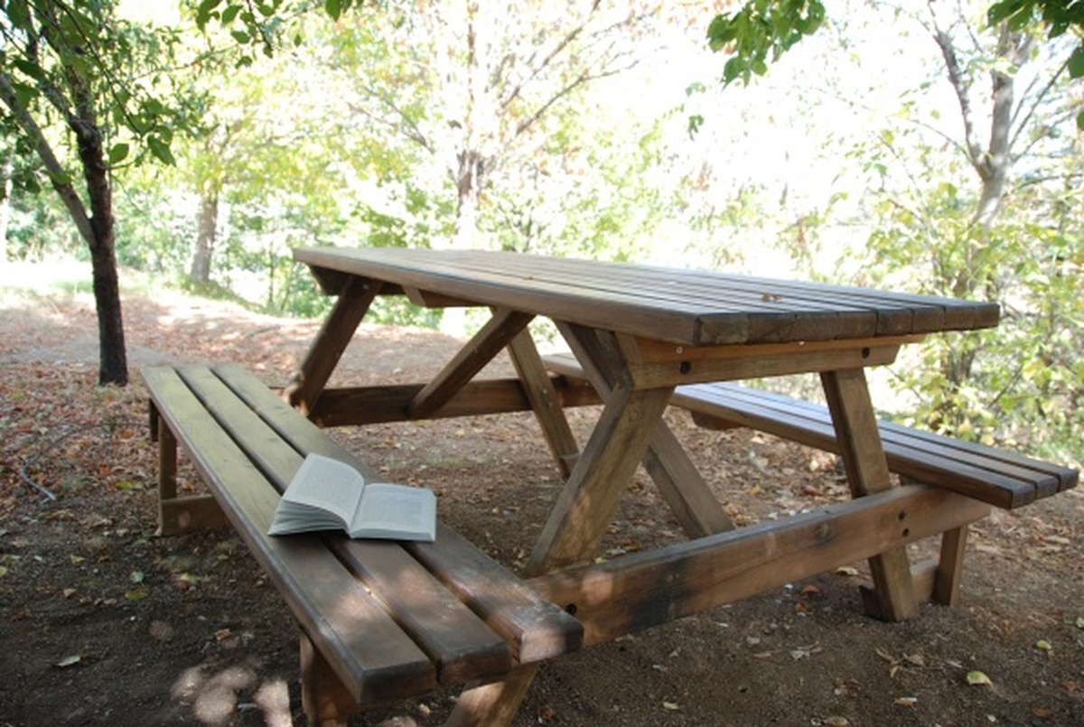 Kampüste Ayaklı Kitaplar