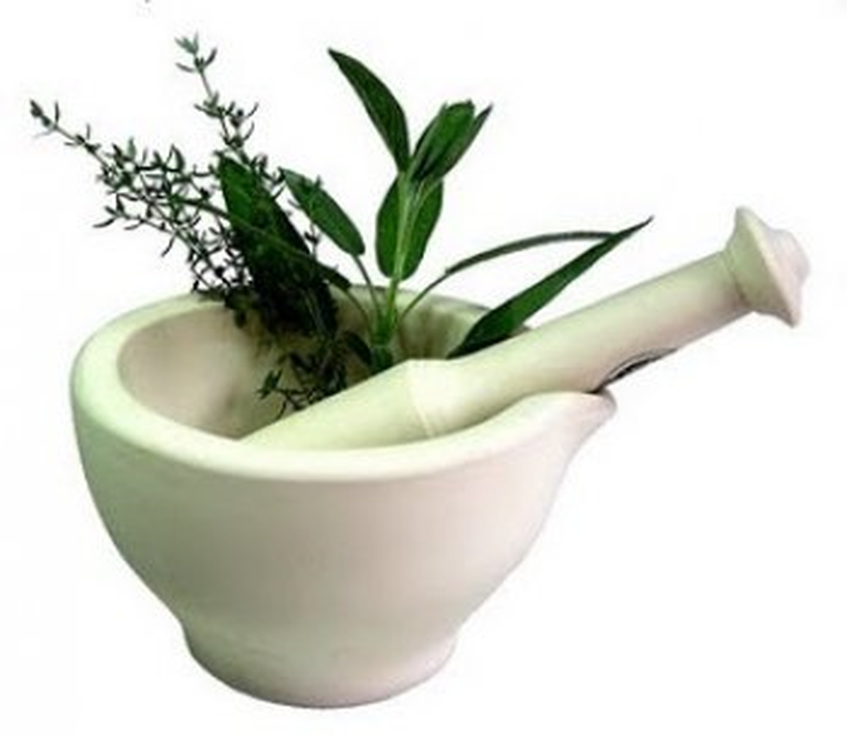 Kavak\'ta Tıbbi ve Aromatik Bitkiler Anlatıldı