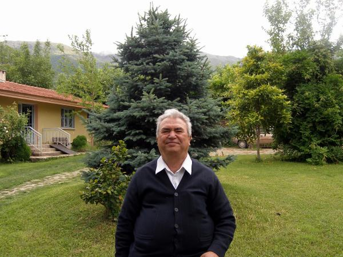 Laboratuvar Ortamında Fide