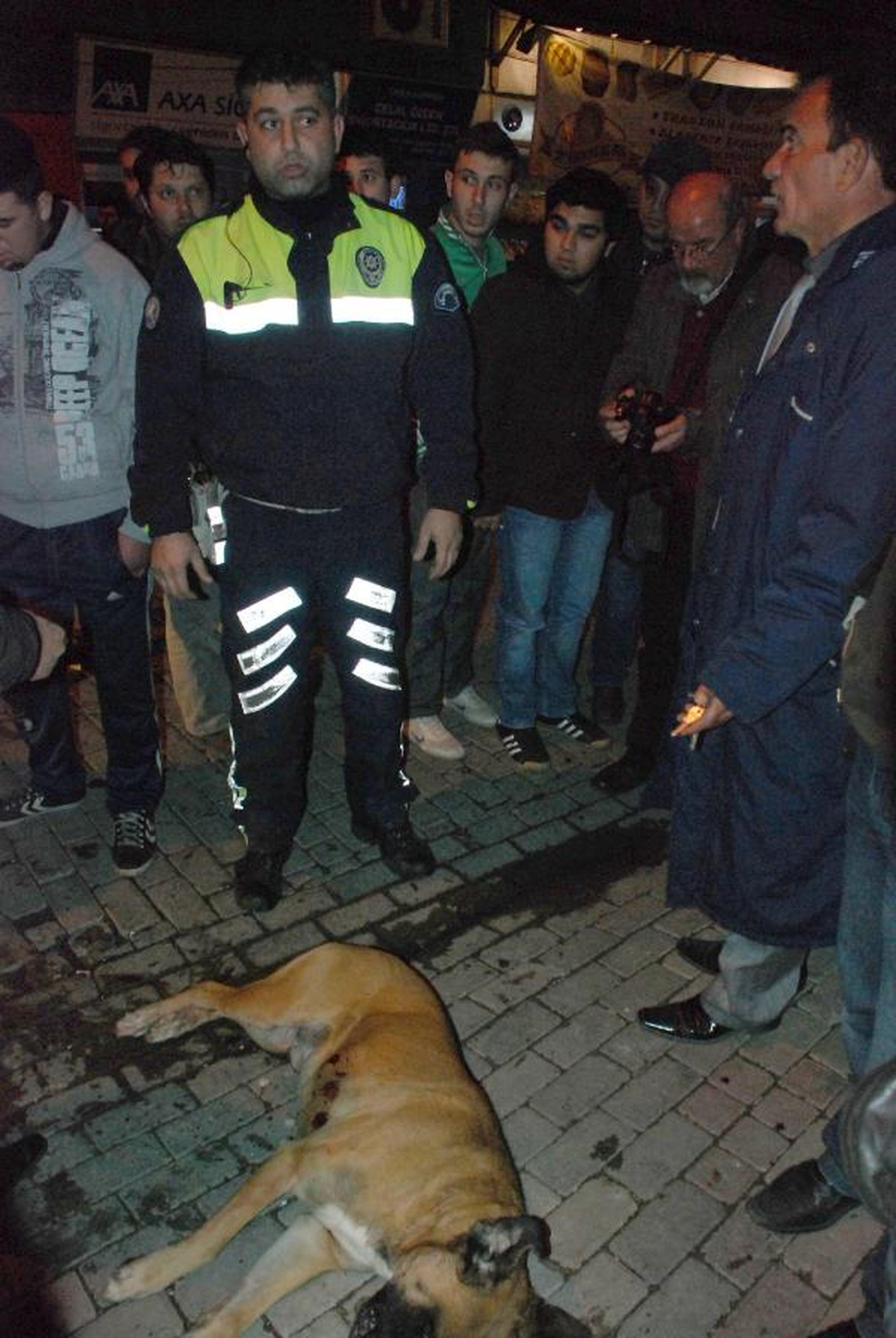 Sokak Köpeğini Öldüren Polise Tayin