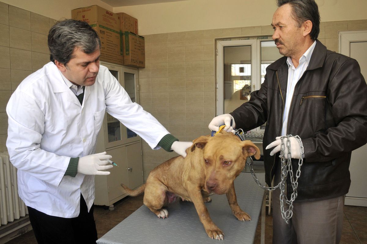 Yenimahalle'de Kuduza Geçit Yok