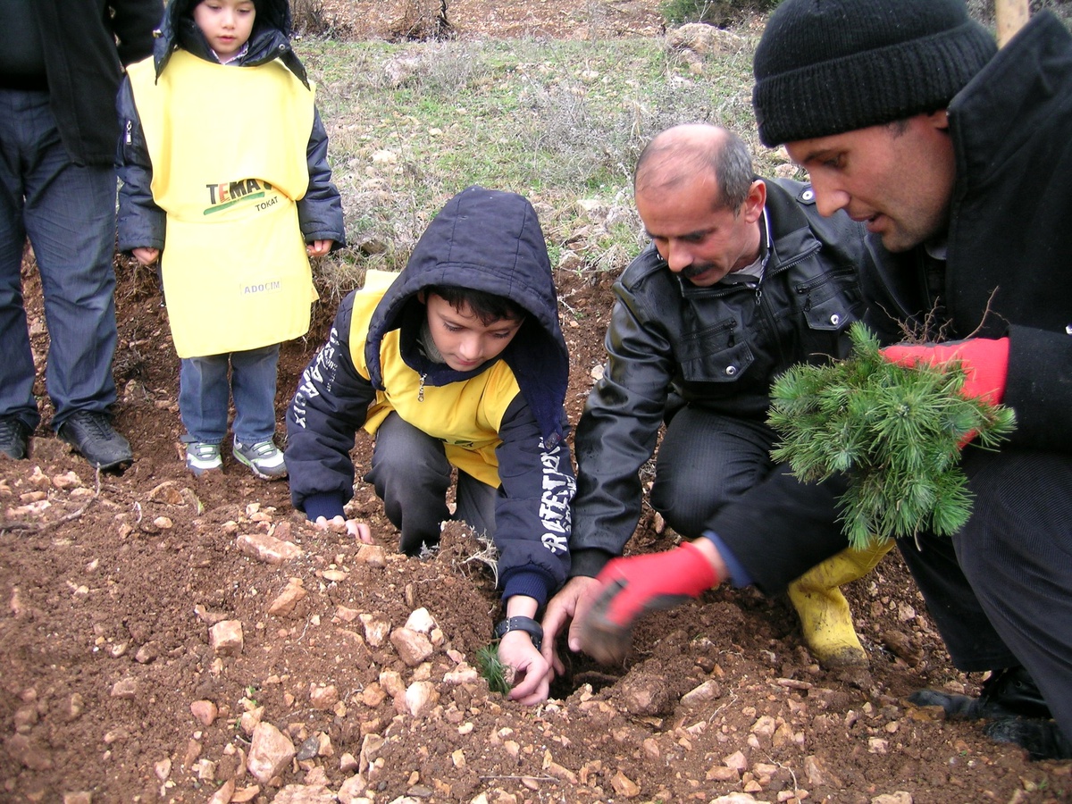 Artvin\'de 21 Milyon 184 Bin 770 Fidan Toprakla Buluştu