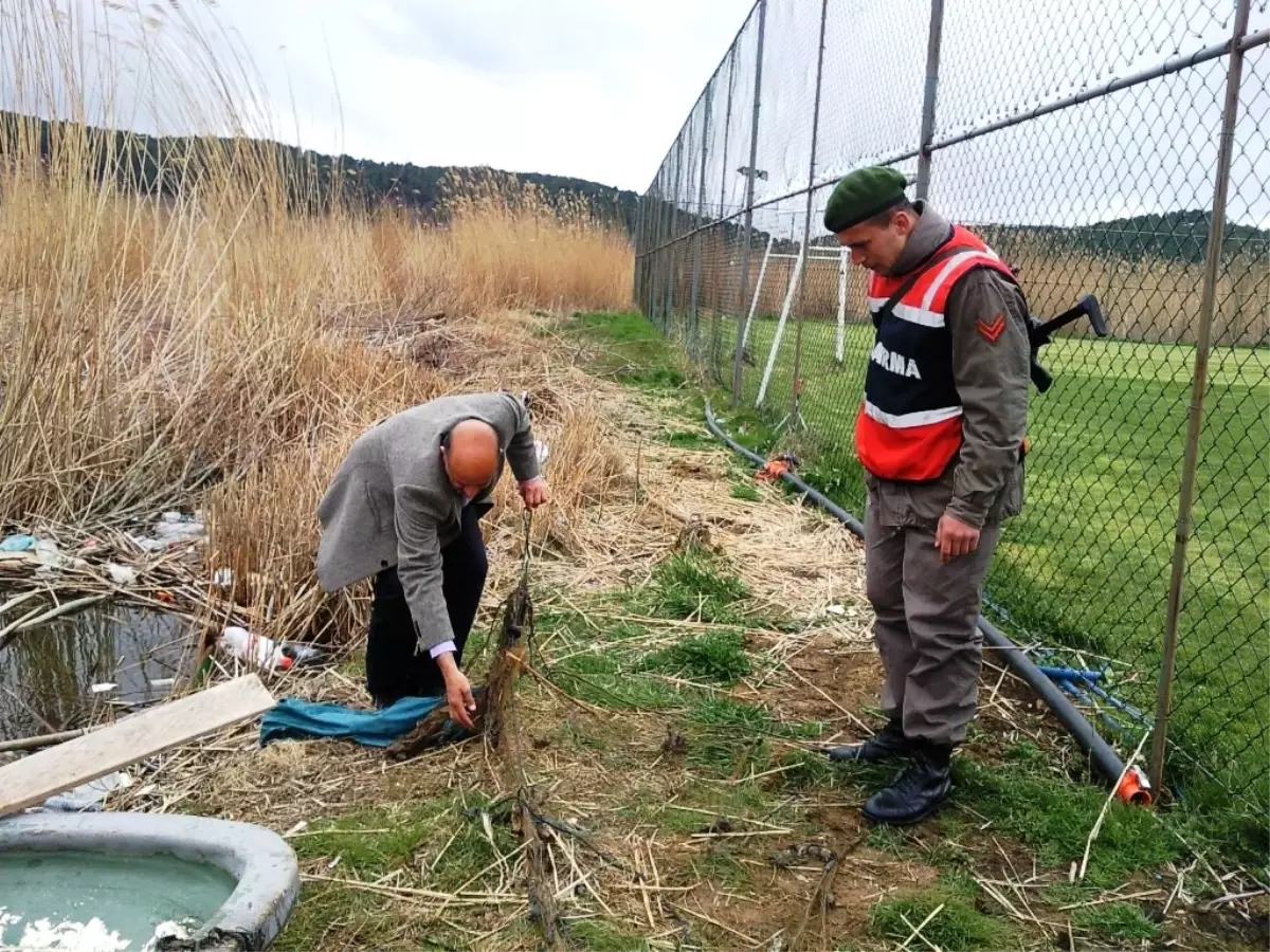İç Sularda Balık Avı Yasağı Başlıyor