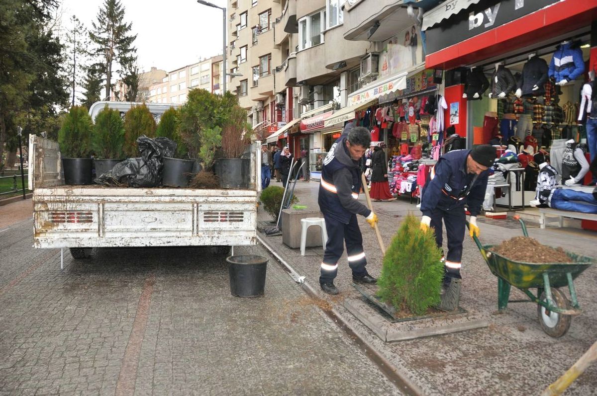 Odunpazarı\'nda Yeşil Alanlara Bakım