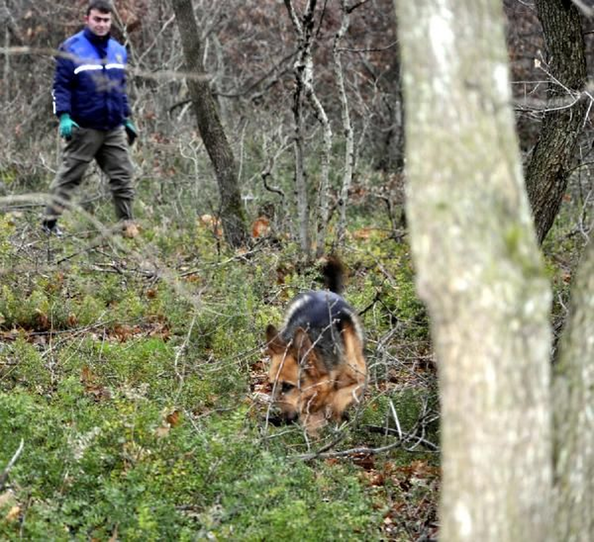 Samsun İki Dedektör Köpek ve Kazma ile Bebek Cesedi Aradılar İki Dedektör Köpek ve Kazma ile Bebek...