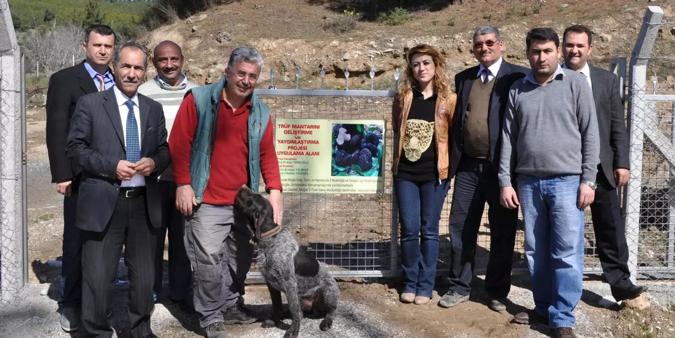 Yatağan'da Alternatif Tarım Çalışmaları