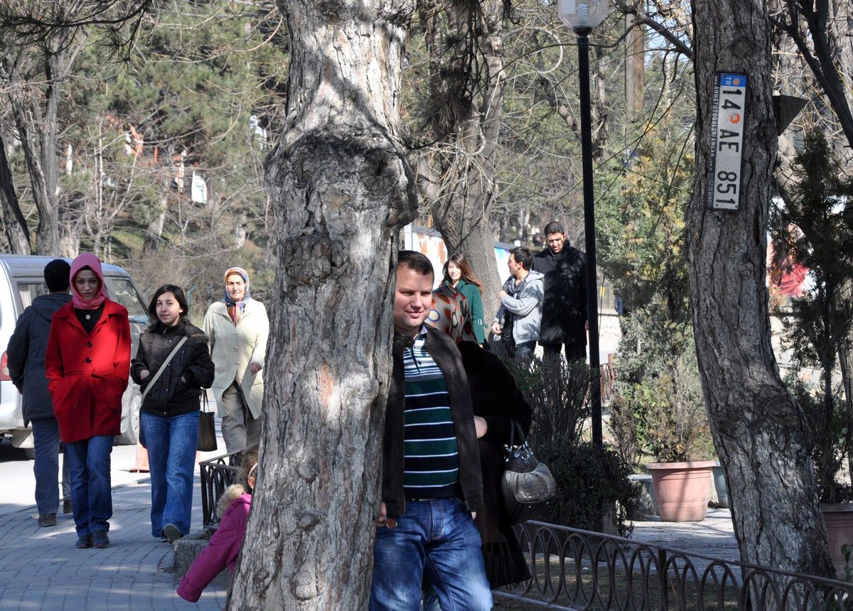 Ağaca Takılan Plakaya Kimse Dokunmuyor