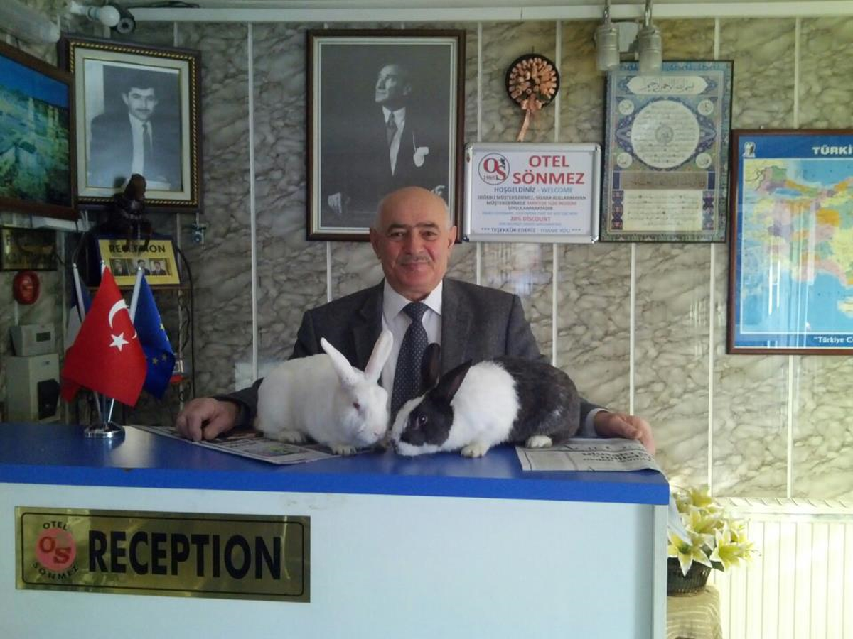 Çalınan Tavşanını Getirene 500 Lira Ödül Verecek