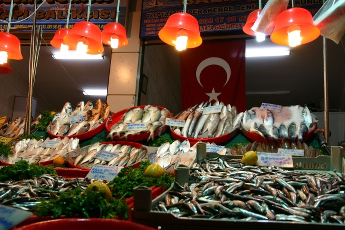 Gaziantep\'e Balığı Sevdiren Mekan