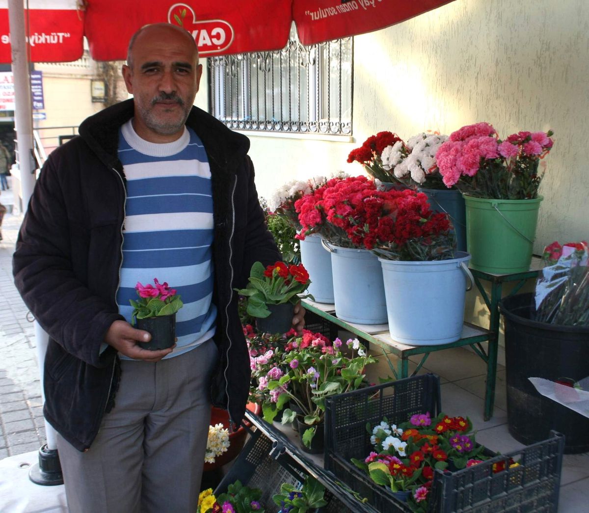 Gül Karaborsaya Düştü