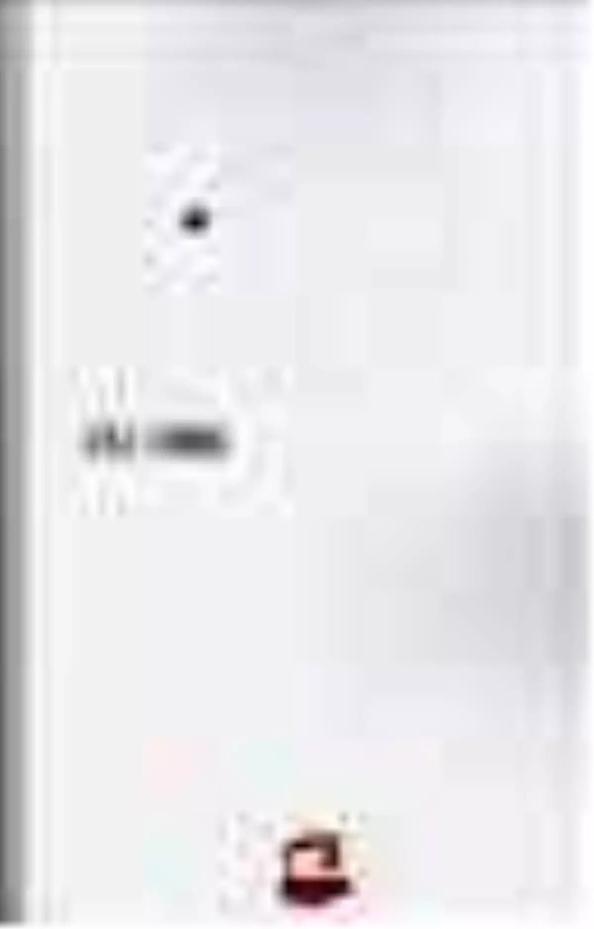 Hiçistan Rehberi Kitabı