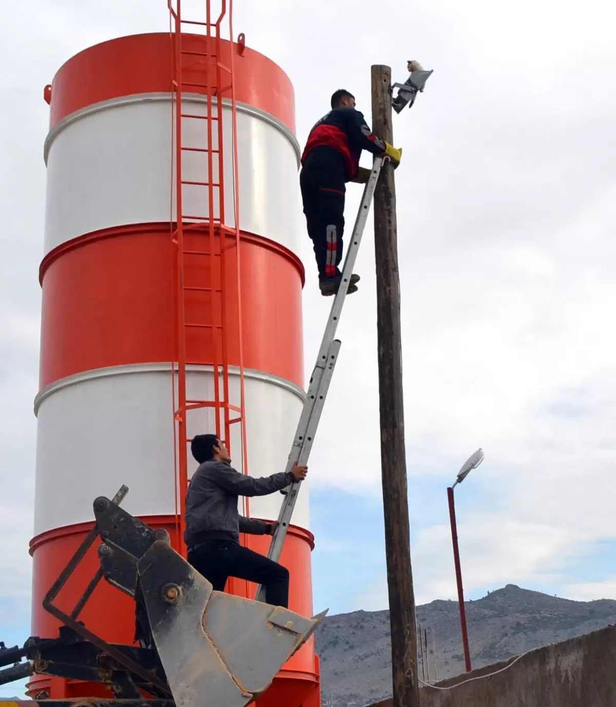 İtfaiyeden Kedi Kurtarma Operasyonu