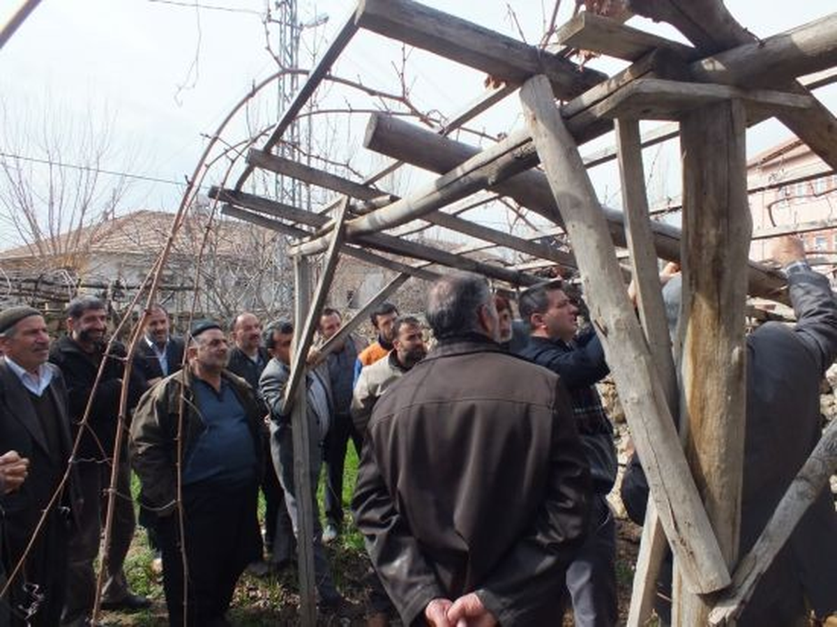 Malatya\'da Üreticilere Ağaç Budama Kursu