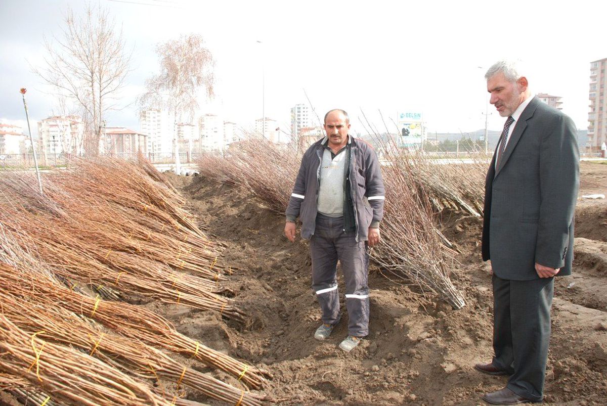 Melikgazi\'den 20.000 Adet Mevsimlik Çiçek