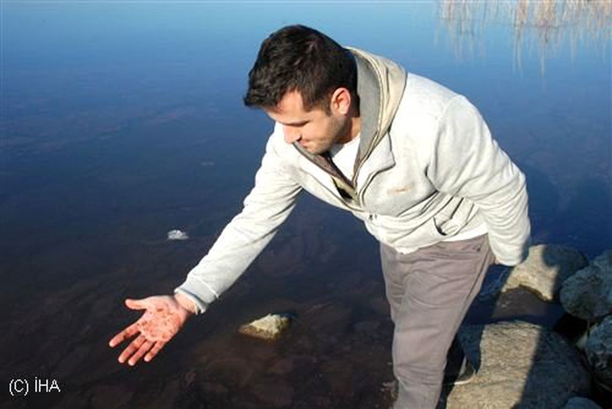 Sapanca Gölü Kızıla Bulandı