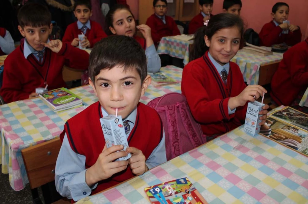 Siirt\'teki Okullarda Süt Dağıtımı Başladı