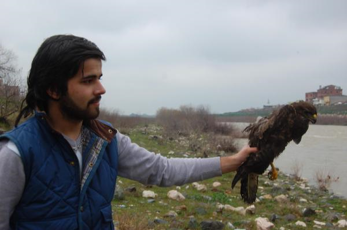 Yaralı Şahini Etle Besleyip İyileştirerek Doğaya Bıraktı