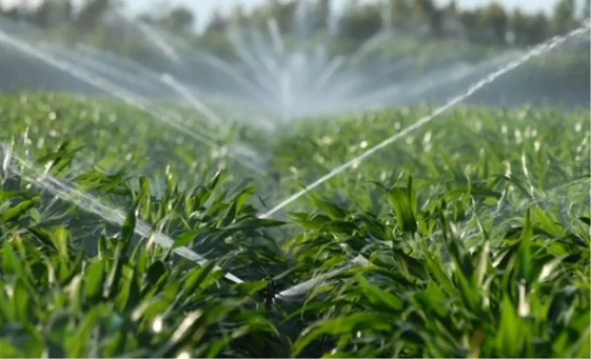 AK Parti Karaman Milletvekili Akgün: 'Sulama Yatırımları Karaman İçin Çok Önemli'