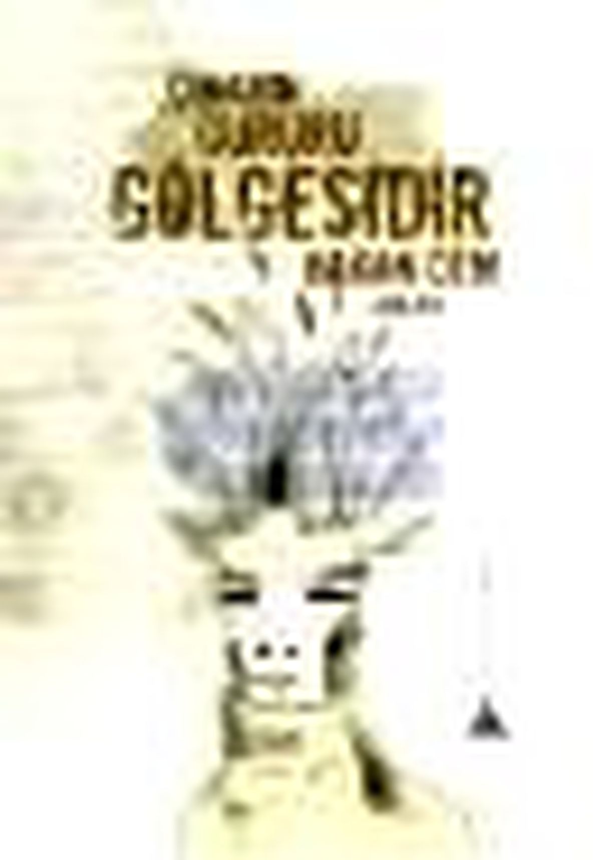 Çınarın Gururu Gölgesidir Kitabı